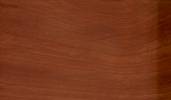 macroscopic photograph of wood